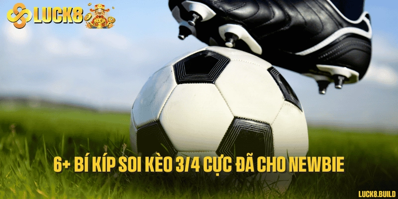 6+ bí kíp soi kèo 3/4 cực đã cho newbie