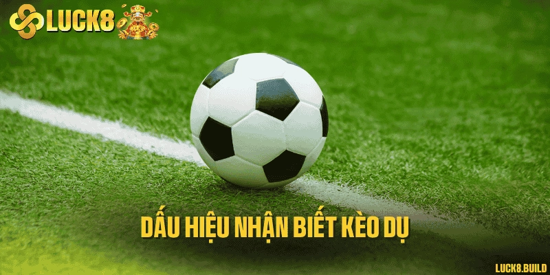 Dấu hiệu nhận biết kèo dụ