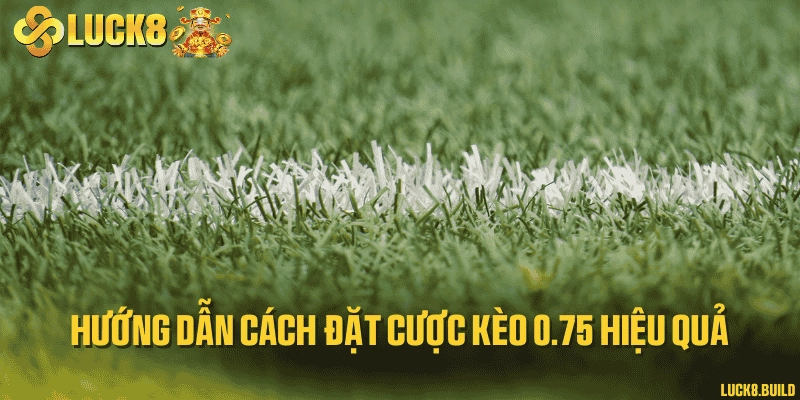 Hướng dẫn cách đặt cược kèo 0.75 hiệu quả