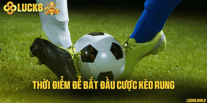 Thời điểm để bắt đầu cược kèo rung