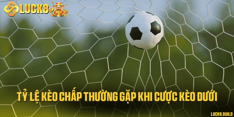 Tỷ lệ kèo chấp thường gặp khi cược kèo dưới